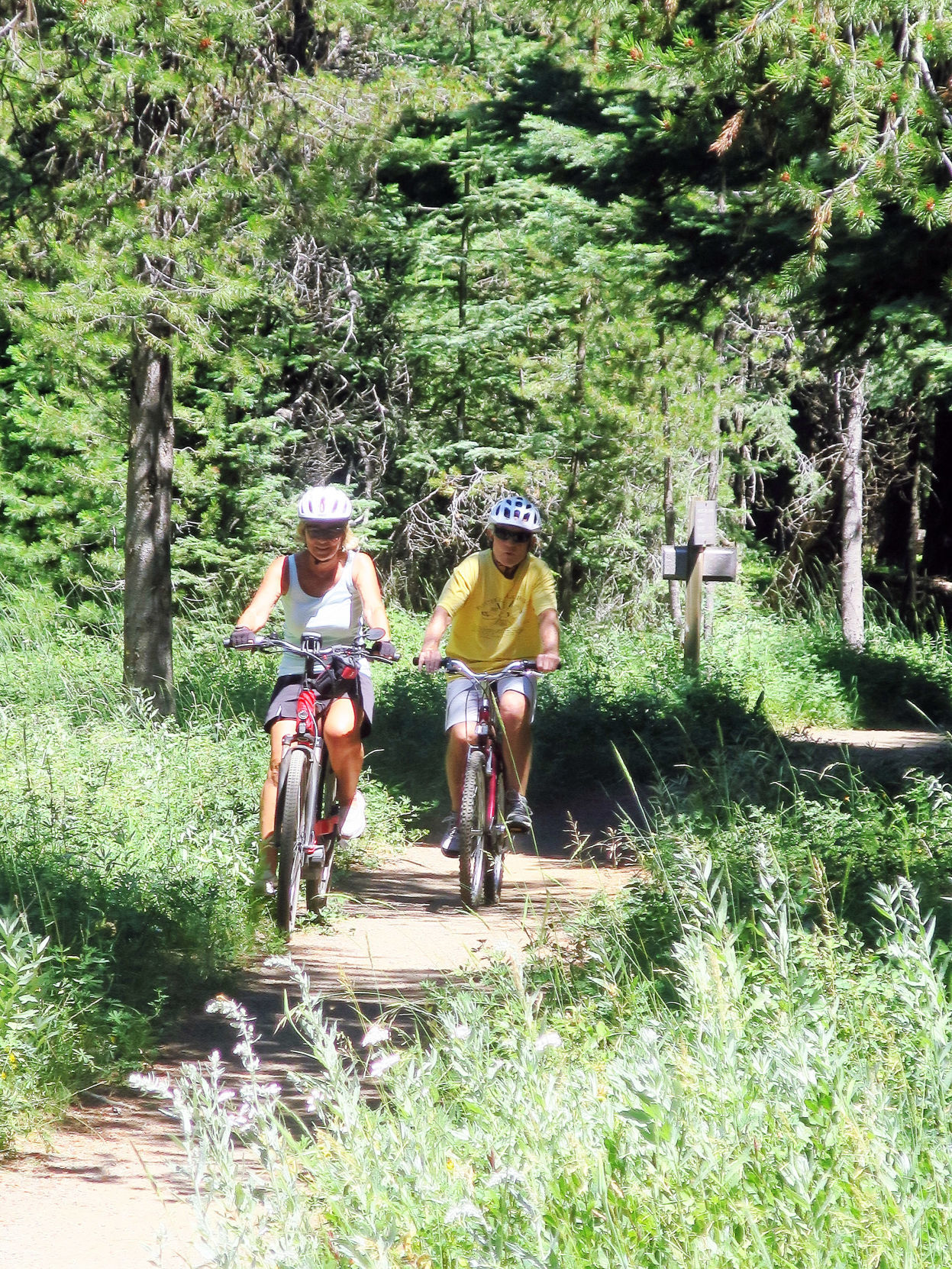Lake of the Woods mountain bikers